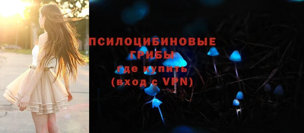сатива Балабаново