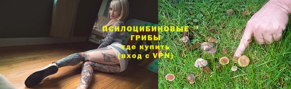 сатива Балабаново